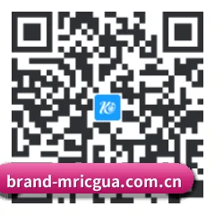 iOS 防封体系版 二维码