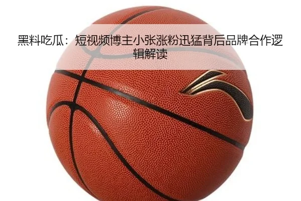 hei-liao-chi-gua-duan-shi-pin-bo-zhu-xiao-zhang-zhang-fen-xun-meng-bei-hou-pin-pai-he-zuo-luo-ji-jie-du-2-814.jpg